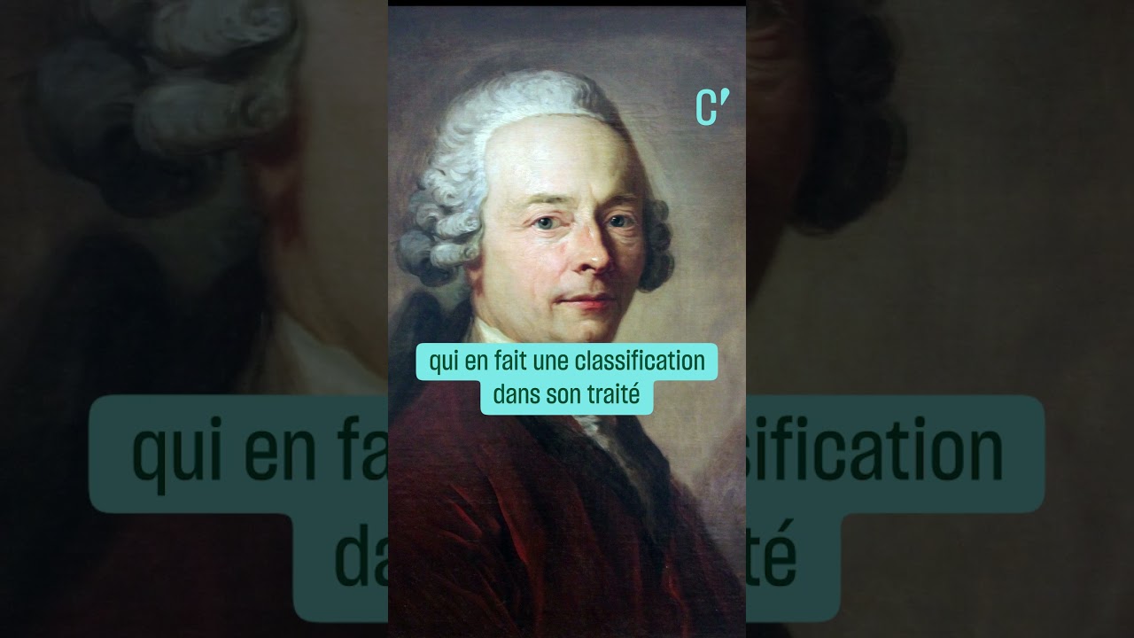 Pourquoi les Beaux-Arts s'appellent les Beaux-Arts ? • FRANCE 24