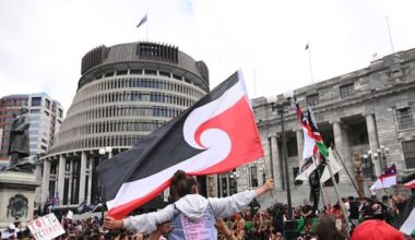 Treaty Principles Bill voted down amid fiery MP debate