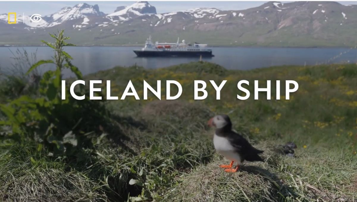 What to Expect: Iceland Expedition by Ship