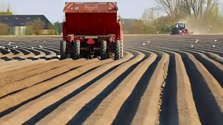 Europe: Potato acreage in Belgium increases by 6 percent