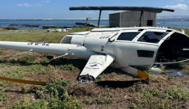 South Africa helicopter crash blamed on penguin in cardboard box that hit pilot's controls