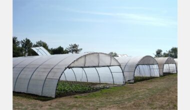 Growers concerned over amount of imported goods