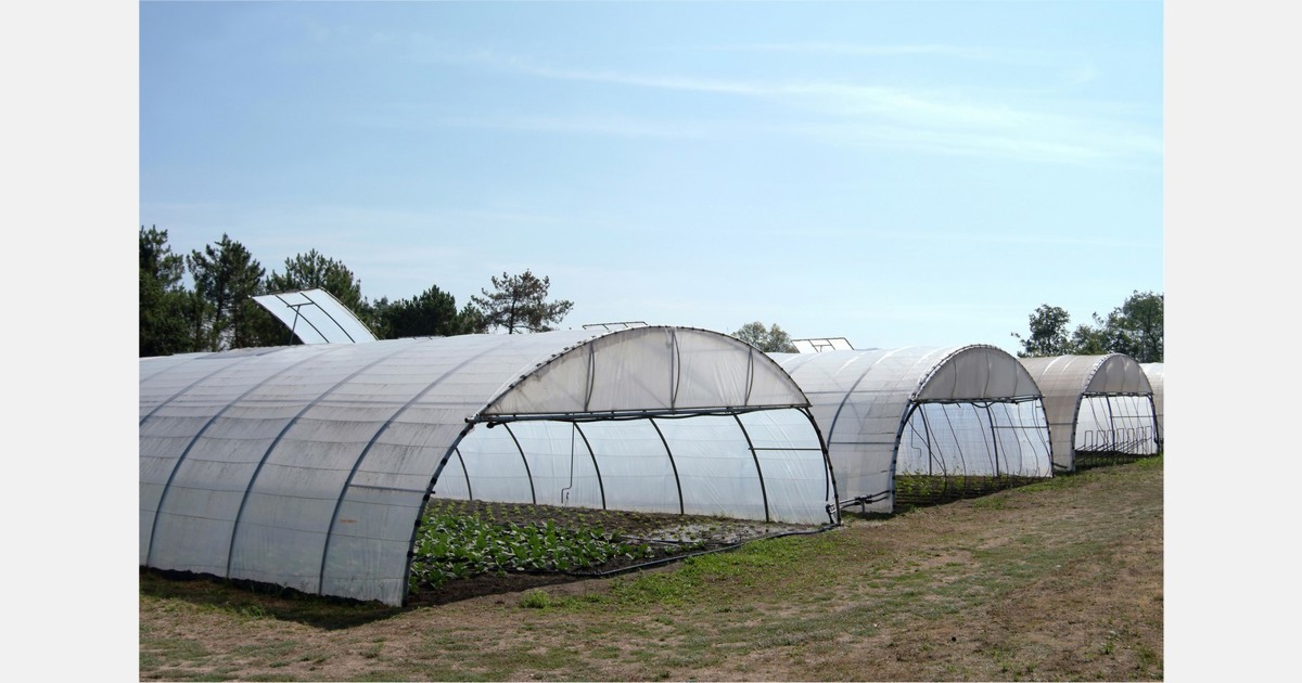 Growers concerned over amount of imported goods