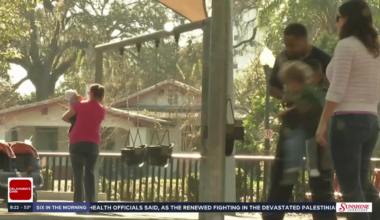 Warmer weather brings new health risks for children, doctors warn