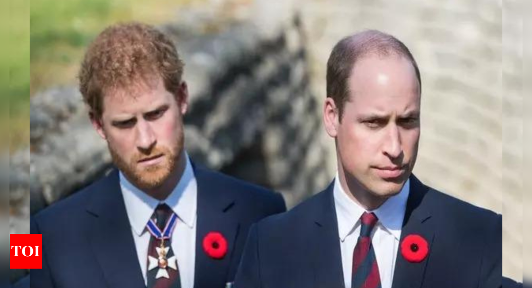 Prince William Harry Relationship: Did Prince William extend an olive branch to Harry in a brief message in 2022?