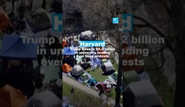 Harvard: Trump freezes $2.2 billion in university funding over Gaza protests • FRANCE 24 English