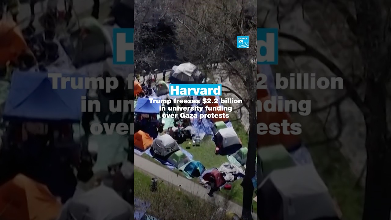 Harvard: Trump freezes $2.2 billion in university funding over Gaza protests • FRANCE 24 English