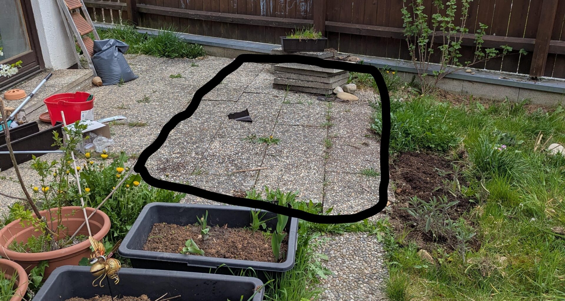 Garten sieht aus wie NICHT Kraut und Rüben. Was kann ich hier tun?