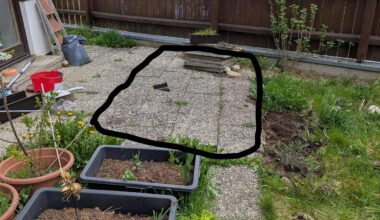 Garten sieht aus wie NICHT Kraut und Rüben. Was kann ich hier tun?