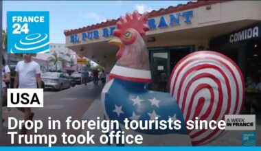 US sees drop in foreign tourists since Trump took office • FRANCE 24 English