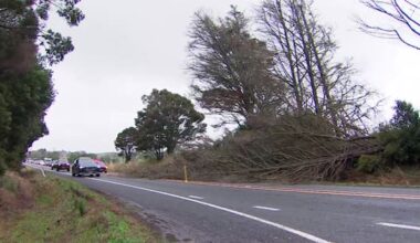 Strong winds hit northern coasts, roads closed in Far North