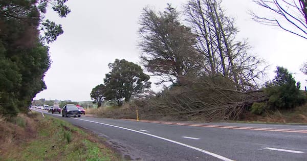 Strong winds hit northern coasts, roads closed in Far North