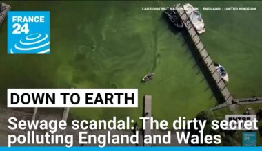 Sewage scandal: The dirty secret polluting England and Wales • FRANCE 24 English