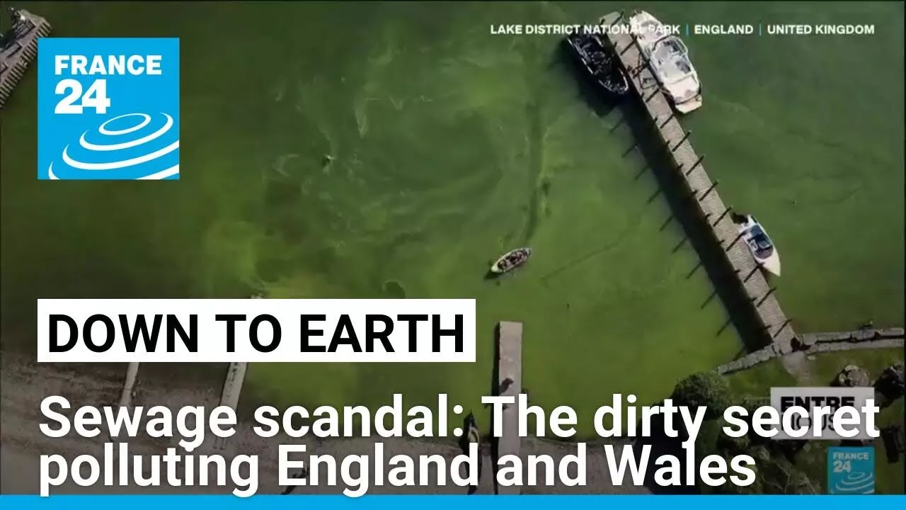 Sewage scandal: The dirty secret polluting England and Wales • FRANCE 24 English