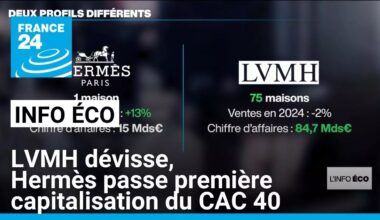LVMH dévisse, Hermès passe première capitalisation du CAC 40 • FRANCE 24