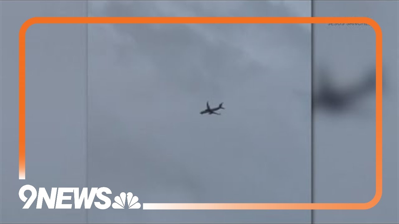 Plane diverted to DIA after possible wildlife strike