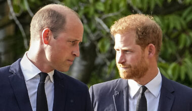 Prince Harry's latest move leaves Prince William ‘fuming’ at palace officials, here's why