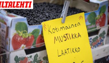Suomi vaikeutti ulkomaalaisten poimijoiden tuloa – Nyt selvisi karu seuraus