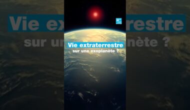 Une potentielle vie #extraterrestre sur une exoplanète • FRANCE 24