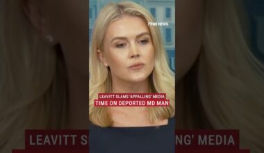 Karoline Leavitt lays out 'end result' for deported alleged MS-13 member #shorts #immigration #trump