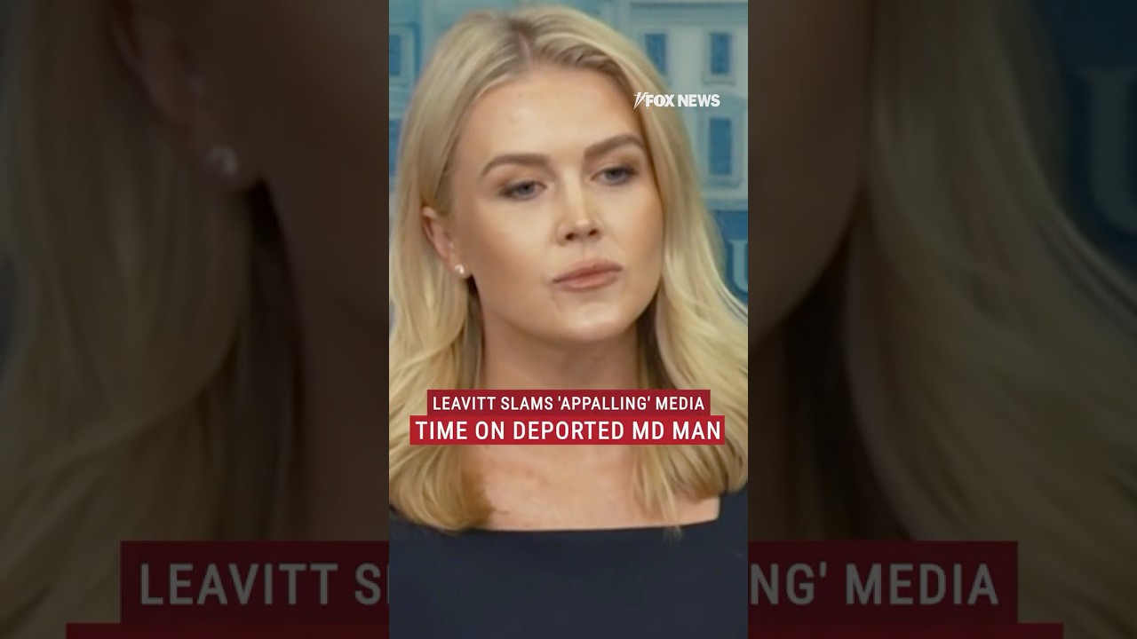 Karoline Leavitt lays out 'end result' for deported alleged MS-13 member #shorts #immigration #trump