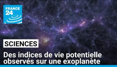 Des indices de vie potentielle observés sur une exoplanète • FRANCE 24