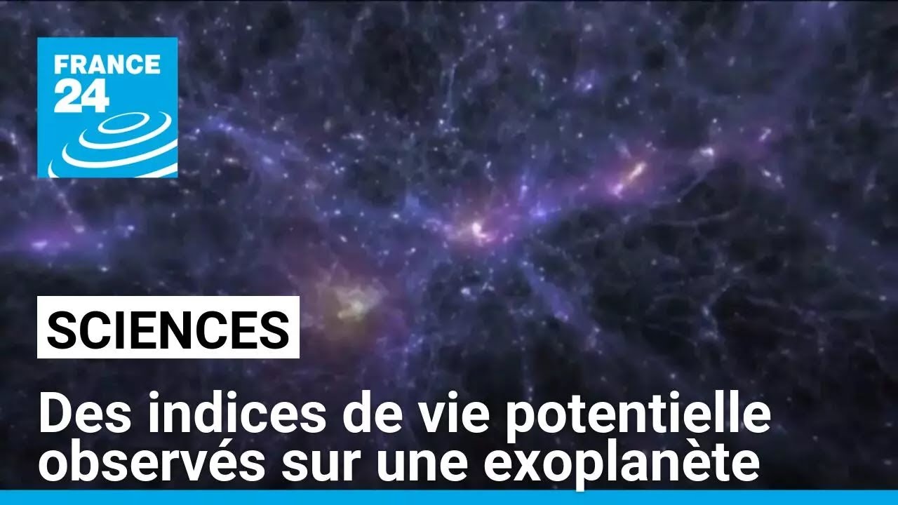 Des indices de vie potentielle observés sur une exoplanète • FRANCE 24