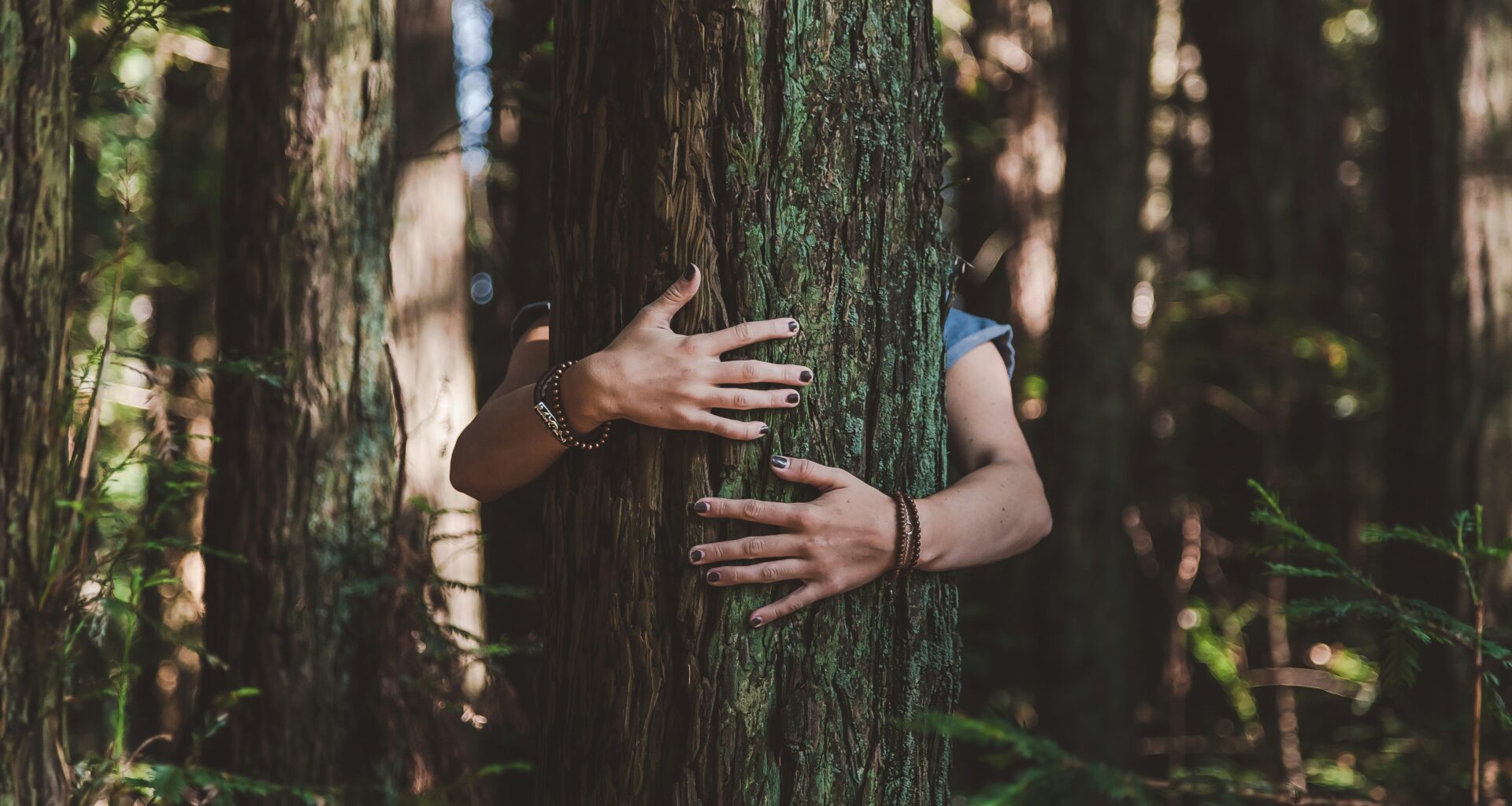 Rethinking our relationship with nature may be key to solving climate breakdown