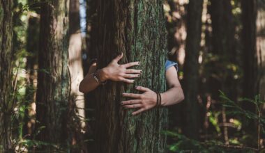 Rethinking our relationship with nature may be key to solving climate breakdown