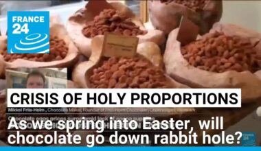 High cost of cheap chocolate: Amid cocoa crisis, prices surge in mass-produced low-quality chocolate