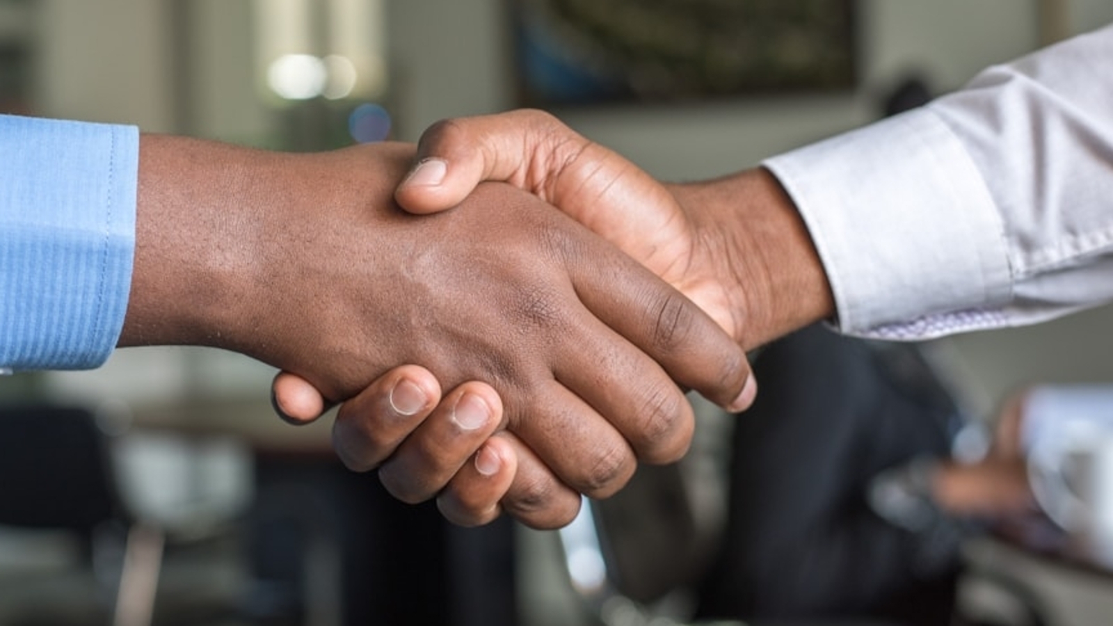 StudyAdelaide launches Employment Connect, an all-inclusive career hub to help international students