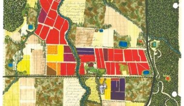 Better Bred Sauvignon Blancs Now Veer Away From The Cloying New Zealand Model