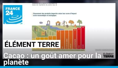 Le réchauffement climatique fait flamber les prix du chocolat • FRANCE 24