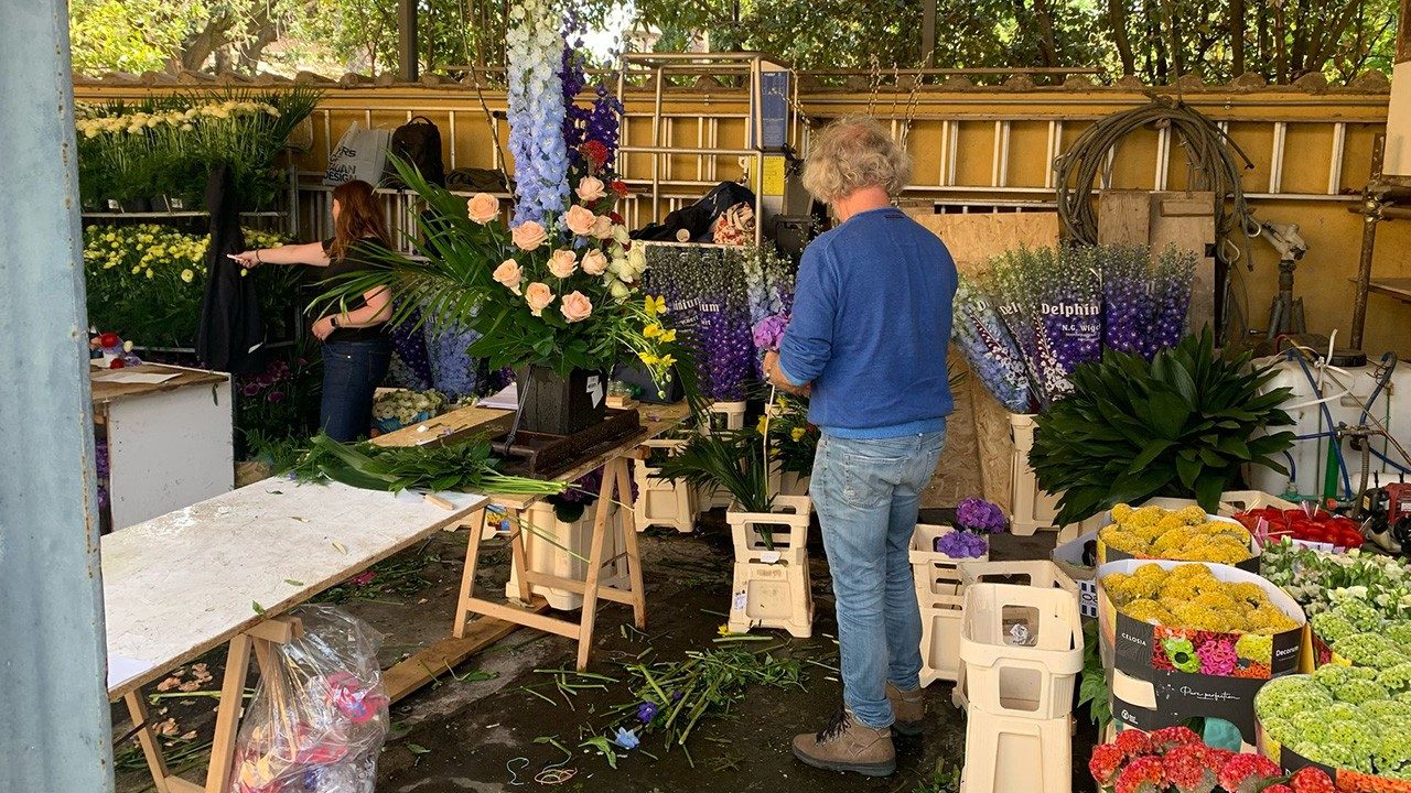 From the Netherlands to the Vatican: Bringing spring to St. Peter's