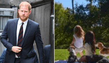 Prince Harry ‘cautiously optimistic’ in legal battle to bring Prince Archie and Princess Lilibet safely to UK
