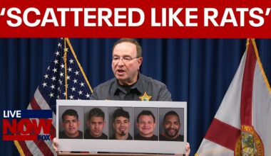 Grady Judd on arrests of Illegal immigrant gang members in Florida
