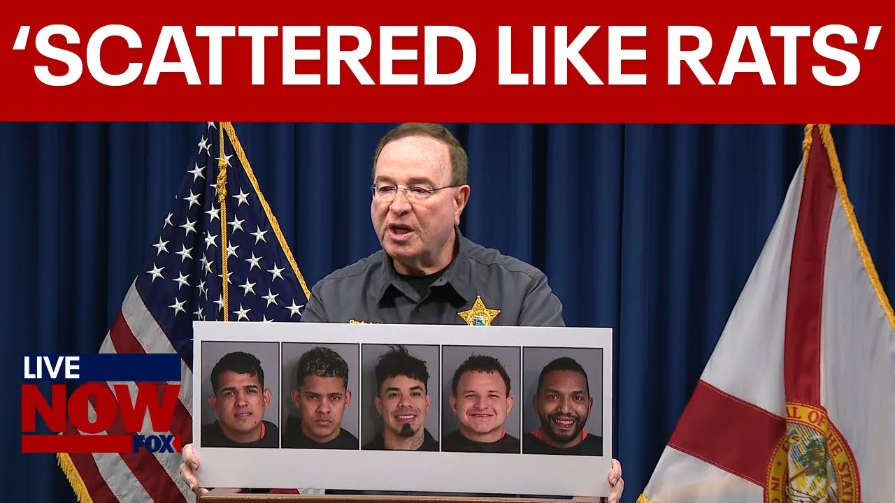 Grady Judd on arrests of Illegal immigrant gang members in Florida
