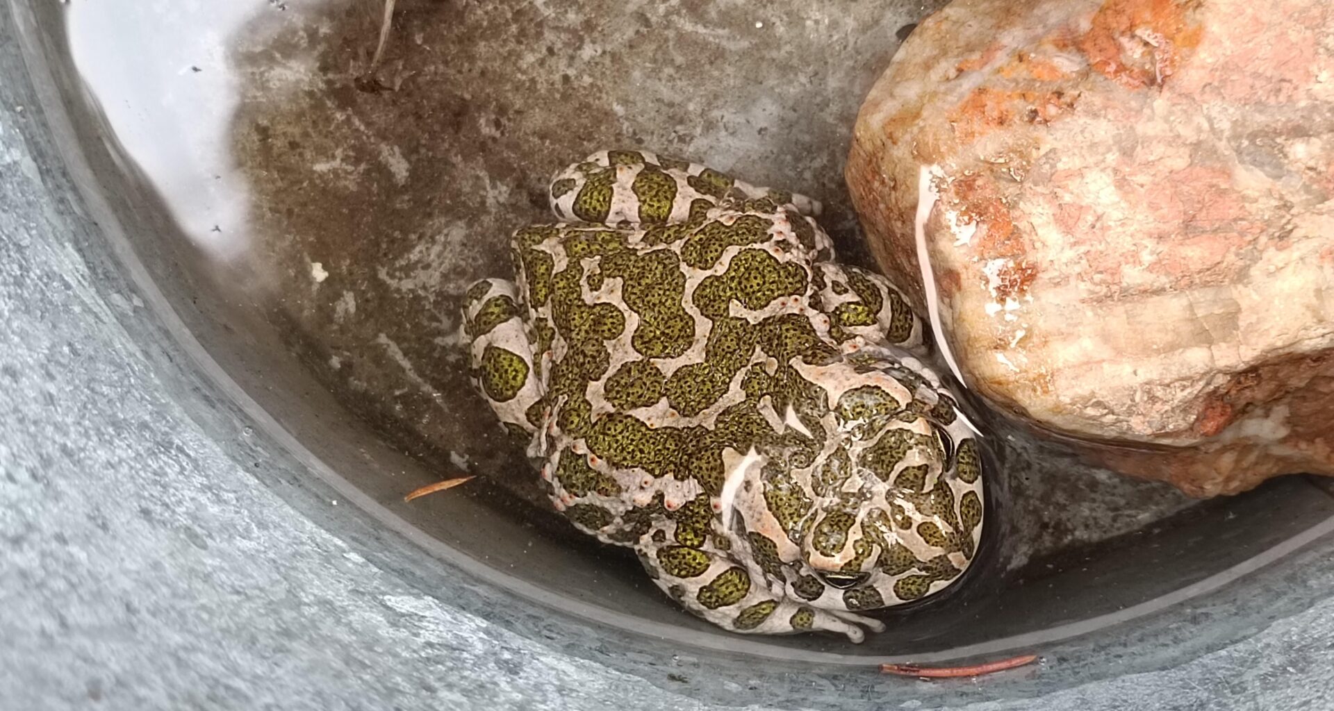 Wir haben Osterbesuch bekommen