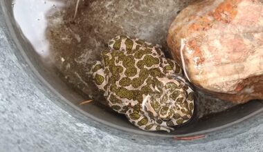 Wir haben Osterbesuch bekommen