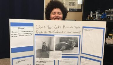 Do cat buttholes touch every surface the sit on? Science answers.