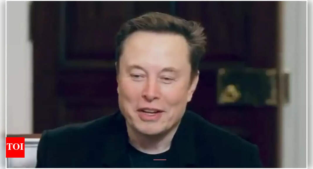 'If a hot girl texts you ... ': Elon Musk mocks crypto scams in viral X post