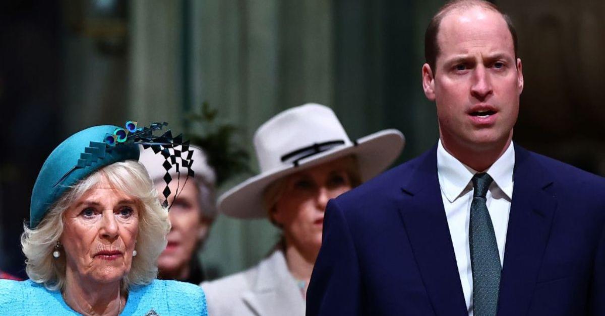Expert Shares Prince William’s Plans for His Stepmother Camilla Once He’s King