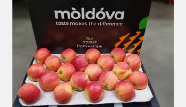 Moldovan fruit sector shows resilience after termination of USAID program