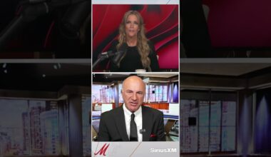 Kevin O'Leary Reacts to Shark Tank Contestant Explaining How Tariffs Are Affecting Her Business