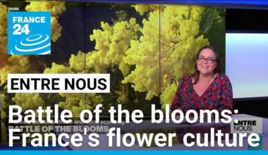 Battle of the blooms: France's flower culture • FRANCE 24 English