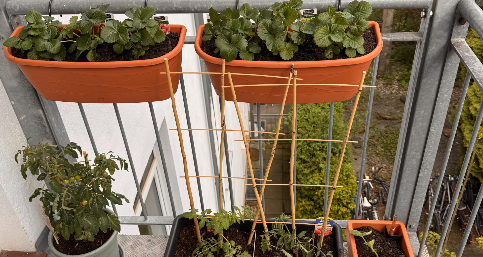 Unser erster Balkon-Garten – Tipps dringend gesucht!