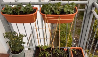 Unser erster Balkon-Garten – Tipps dringend gesucht!