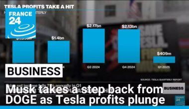 Musk vows to spend more time on Telsa after net income falls 71% • FRANCE 24 English