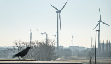 PATHS2050 coalition presents roadmaps for a low-carbon and economically resilient Belgium