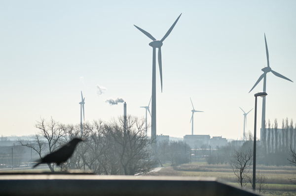 PATHS2050 coalition presents roadmaps for a low-carbon and economically resilient Belgium
